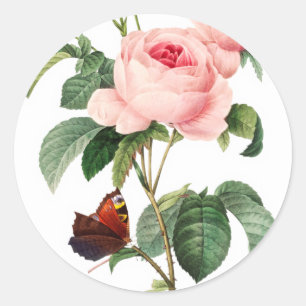 Pegatinas de sobre rosa rosado
