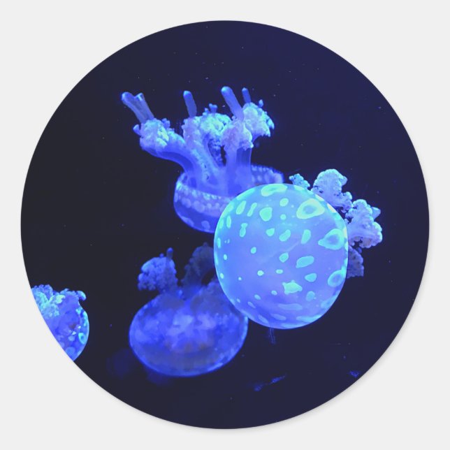 Pegatinas de Spoton Lagoon Jelly #1 (Anverso)