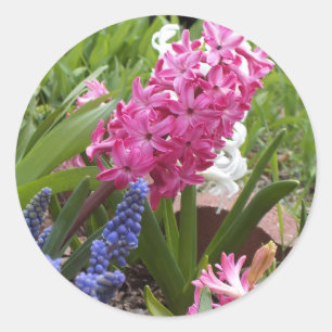 Pegatinas DE SPRING BLOOMS