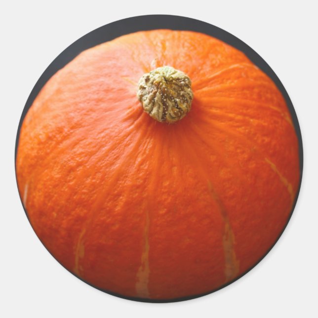 Pegatinas de squash (Anverso)