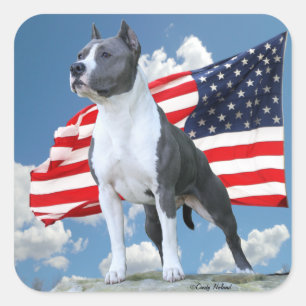 Pegatinas de Staffordshire Terrier americano