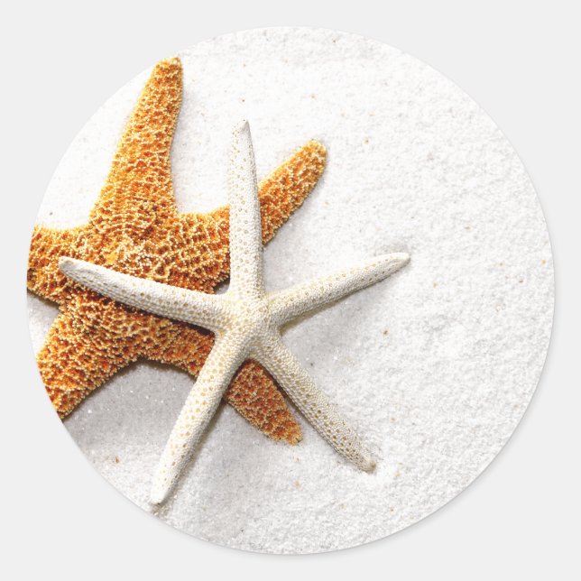 Pegatinas de Starfish (Anverso)