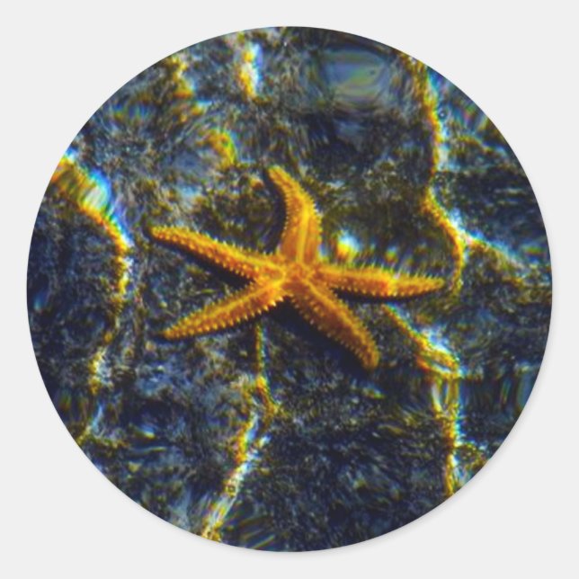 Pegatinas de Starfish (Anverso)
