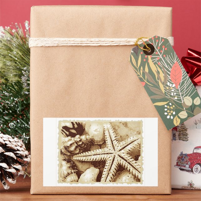 Pegatinas de Starfish and Seasheles (Subido por el creador)