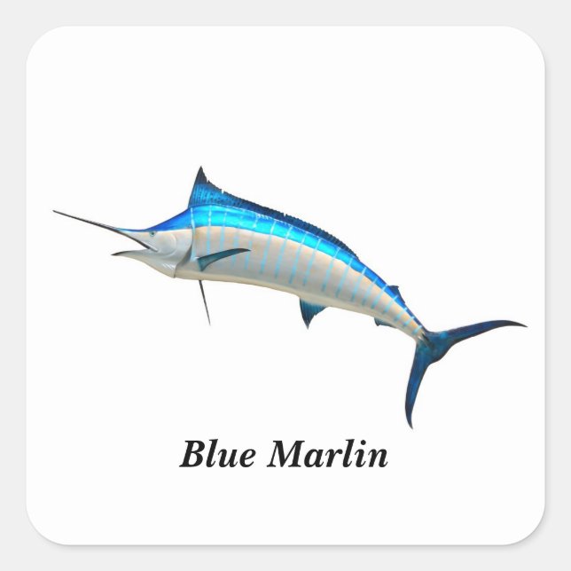Pegatinas de su Personalizado Square Blue Marlin (Anverso)
