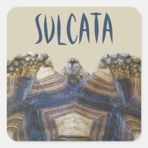 Pegatinas de Sulcata Tortoise