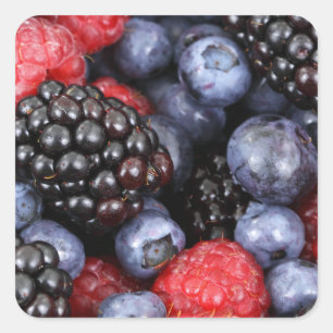 Pegatinas de Summer Berries