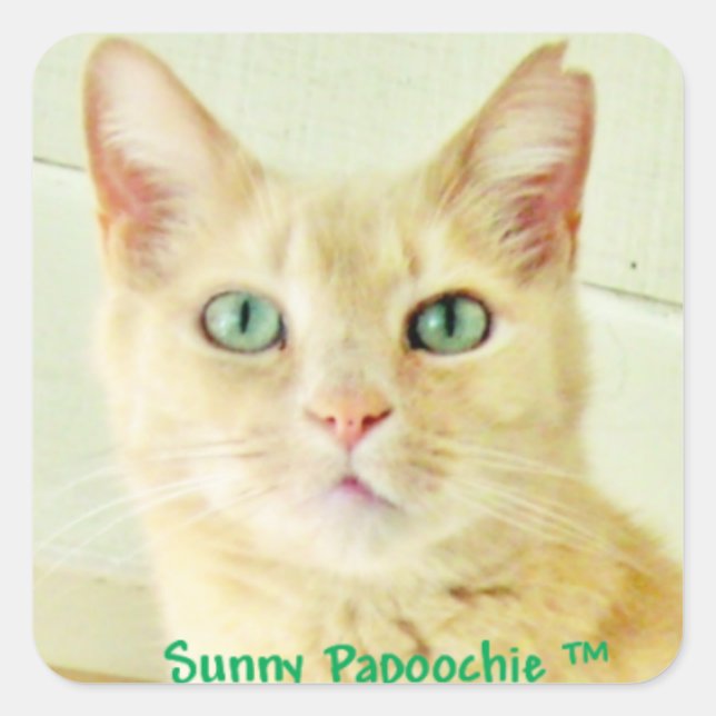 Pegatinas de SUNNY PAPOOCHIE (Anverso)