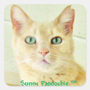 Pegatinas de SUNNY PAPOOCHIE