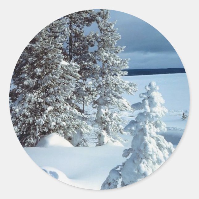 Pegatinas de tarjetas de navidades (Anverso)