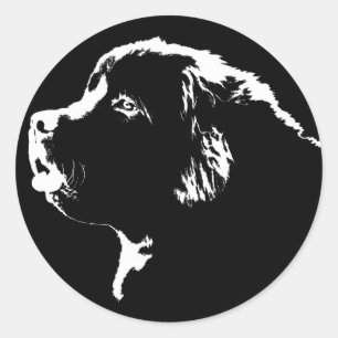 Pegatinas de Terranova Pegatinas de perros de Terr