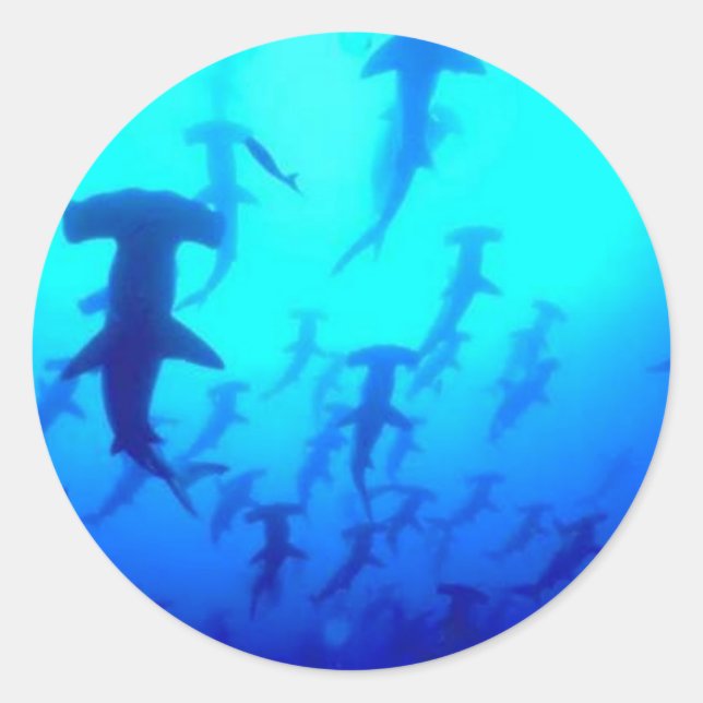 Pegatinas de tiburones (Anverso)