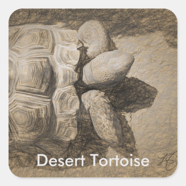 Pegatinas de Tortoise del Desierto (Anverso)