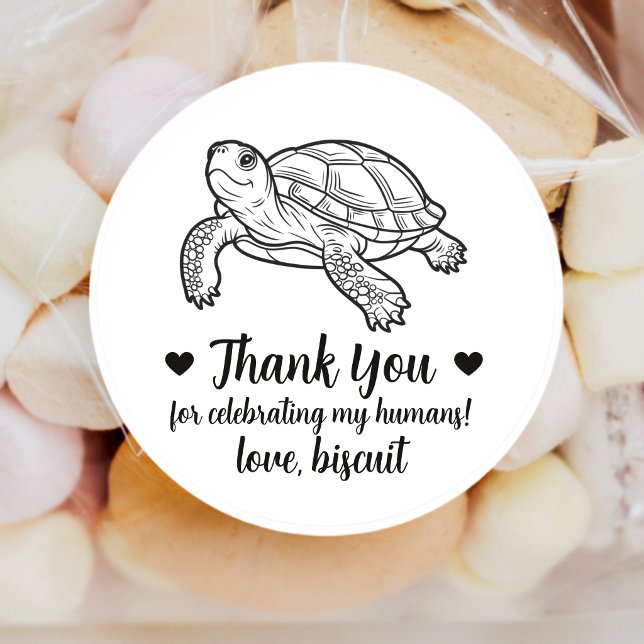 Pegatinas de tortuga de mascota personalizadas par (Subido por el creador)