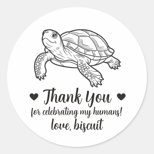 Pegatinas de tortuga de mascota personalizadas par (Anverso)