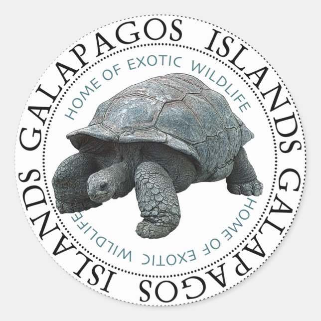 Pegatinas de Tortuga de Peces de las Islas Galápag (Anverso)