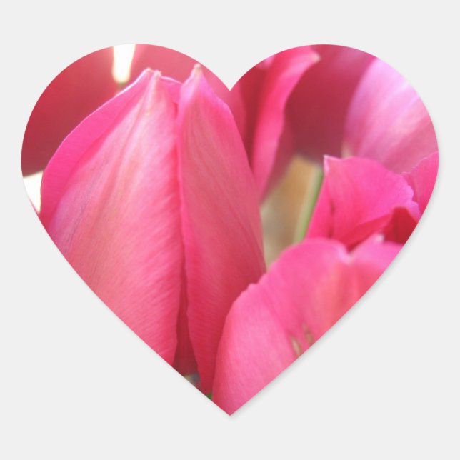 Pegatinas de Tulip Bulbs (Anverso)