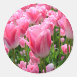 Pegatinas de tulipanes rosados