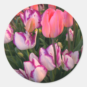 Pegatinas de Tulips Peace Flame y Affaire