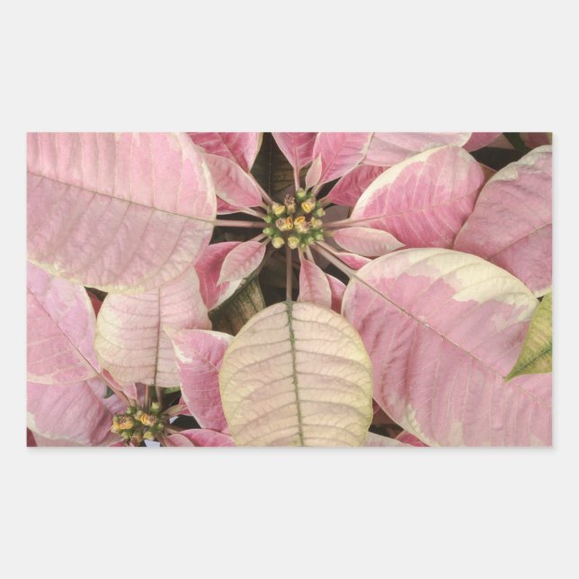 Pegatinas de vacaciones (Anverso)