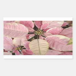 Pegatinas de vacaciones