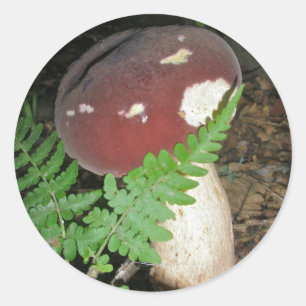 Pegatinas de Velvet Mushroom