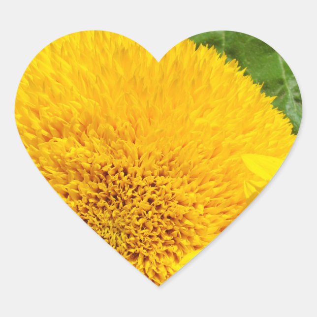 Pegatinas de verano de girasoles  de forma de cora (Anverso)