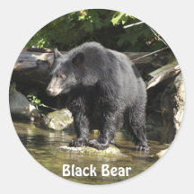 pegatinas de vida salvaje del oso negro "Salmon Sp