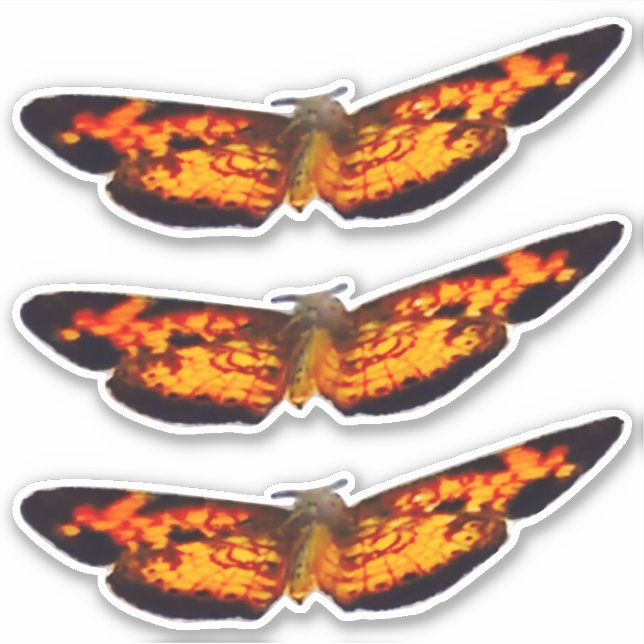 Pegatinas de vinílico de corte Personalizado de 14 (Anverso)