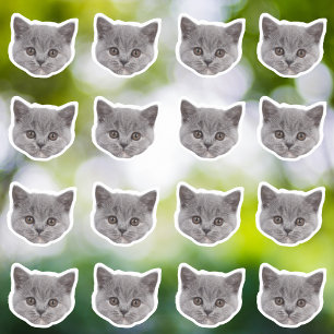 Pegatinas de vinilo a prueba de agua fotográfica p