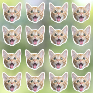 Pegatinas de vinilo a prueba de agua fotográfica p