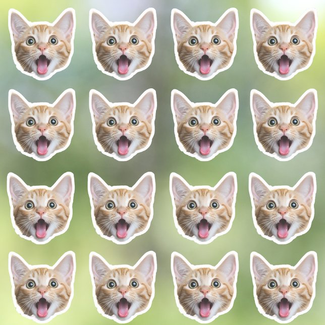 Pegatinas de vinilo a prueba de agua fotográfica p (Subido por el creador)