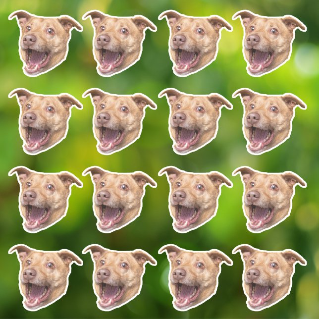 Pegatinas de vinilo a prueba de agua fotográfica p (Subido por el creador)