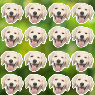 Pegatinas de vinilo a prueba de agua fotográfica p