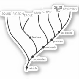 Pegatinas de vinilo de 3" x 3"