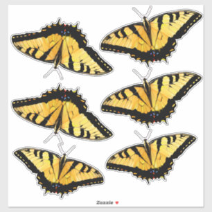 Pegatinas de vinilo de corte personalizado - 6 cru