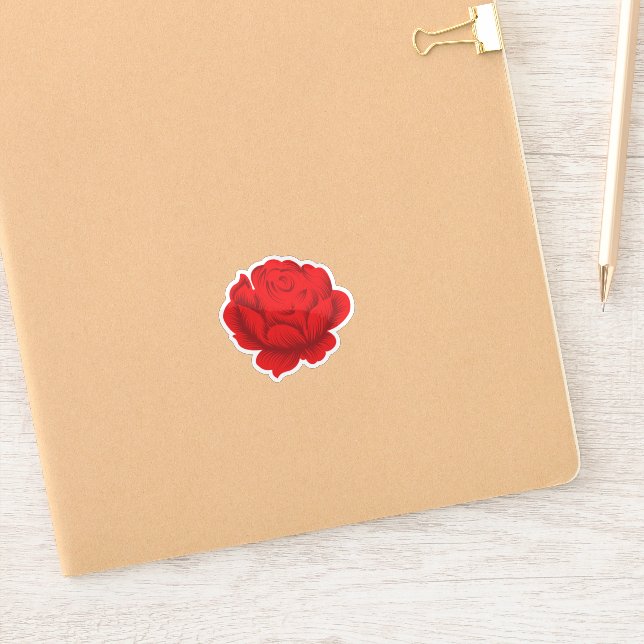 Pegatinas de vinilo para vidrio. Paredes. Regalos. (Cuaderno)