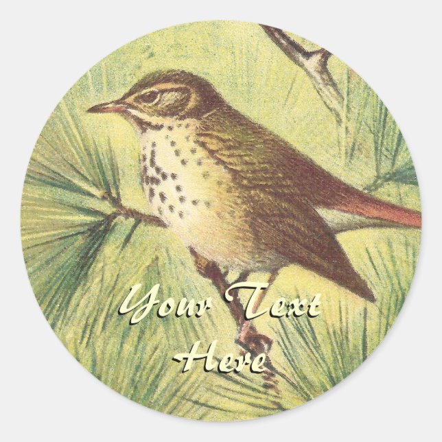 Pegatinas de Vintage Hermit Thrush (Anverso)