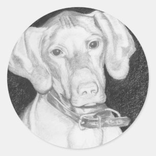 Pegatinas de Vizsla