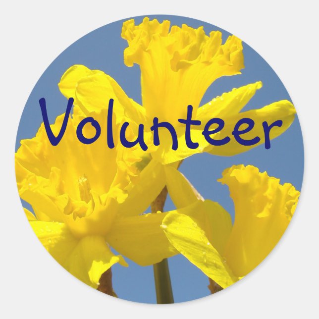 Pegatinas de voluntariado Flores de Narciso Amaril (Anverso)