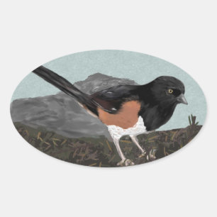 Pegatinas de Watercolor Eastern Towhee