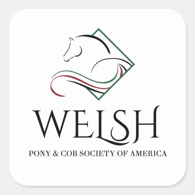 Pegatinas de Welsh Pony y Cob (Anverso)