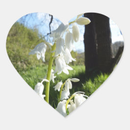 Pegatinas de White Bluebells