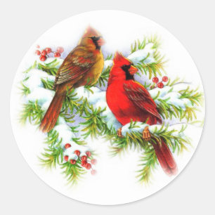 Pegatinas de Winter Bird