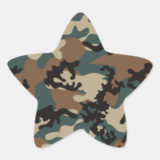 Pegatinas de Winter Verdant Camo