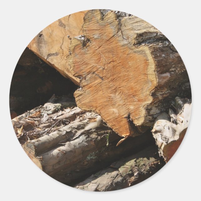 Pegatinas de Wood Logs (Anverso)