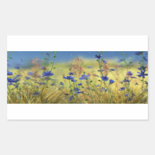 Pegatinas de zafiro y oro