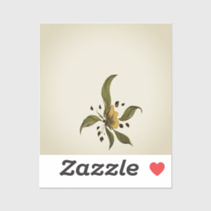 Pegatinas de Zazzle
