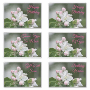 Pegatinas Decorativos Para Todas Las Ocasiones