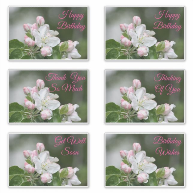 Pegatinas Decorativos Para Todas Las Ocasiones (Anverso)